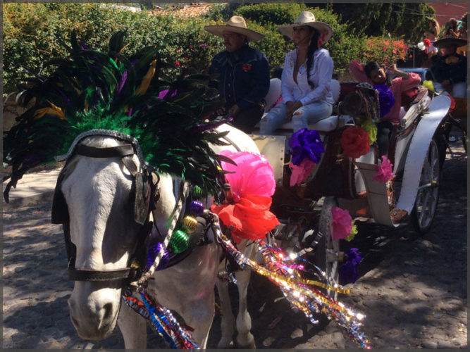 Decorated horse and carriage for the Mardi Gras parade in Ajijic, Mrxico.