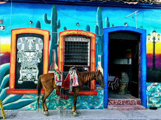 Horse tied up outside the Chameleon Bar in Ajijic, Mexico.