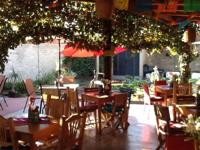 Garden dining area at Huerto Cafe with wooden tables and chairs one of the only Ajijic restaurants growing their own greens. 